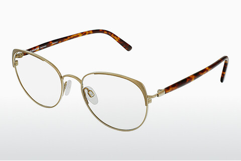 brille Rodenstock R7088 C