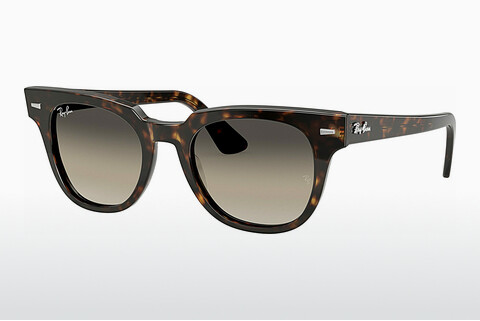solbrille Ray-Ban METEOR (RB2168 902/32)