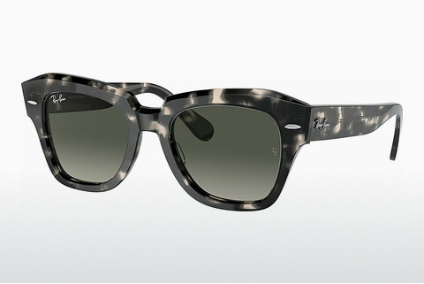solbrille Ray-Ban STATE STREET (RB2186 133371)