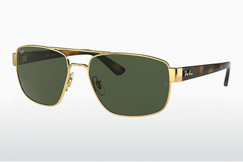 solbrille Ray-Ban RB3663 001/31