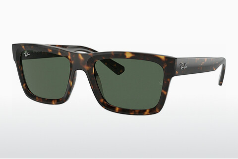 solbrille Ray-Ban WARREN (RB4396 135971)
