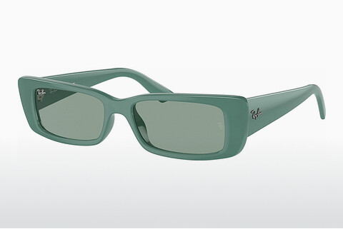 solbrille Ray-Ban TERU (RB4425 676282)