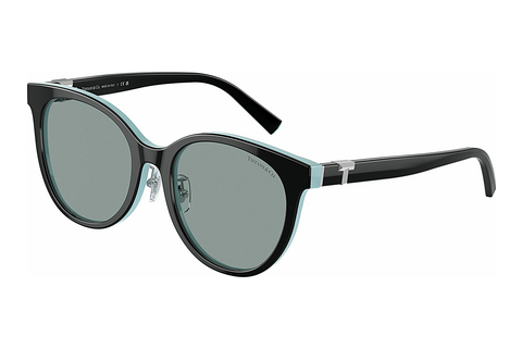 solbrille Tiffany TF4209D 8055/1