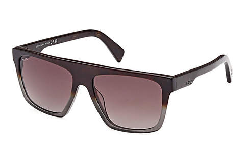 solbrille Tod's TO0354 56F