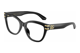 Dolce & Gabbana DG3418 501