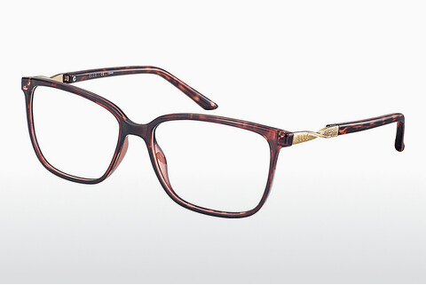 brille Elle EL13419 WI