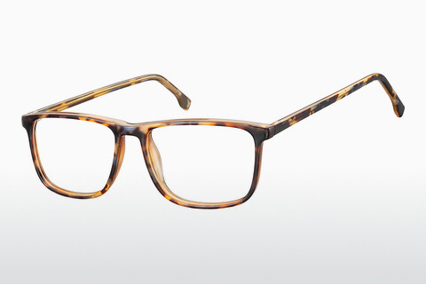 brille Fraymz CP132 E