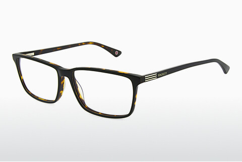 brille Hackett HEB1207 582