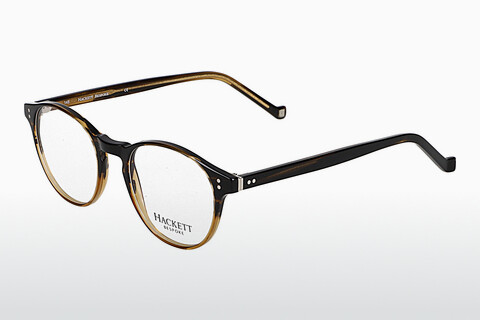 brille Hackett HEB218 101