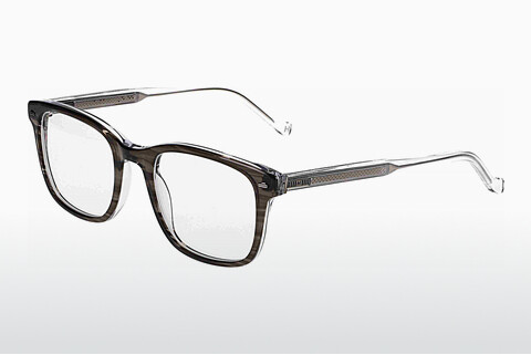 brille Hackett HEB339 031