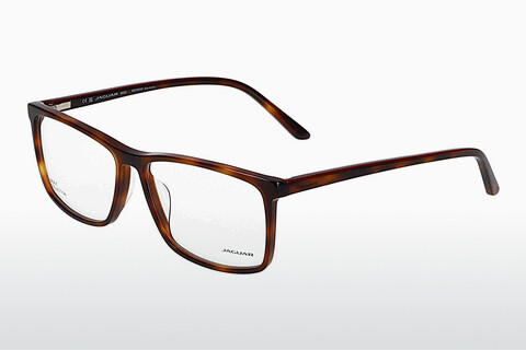 brille Jaguar 31526 4982