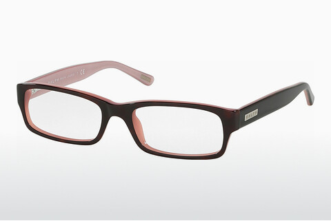 brille Ralph RA7018 599