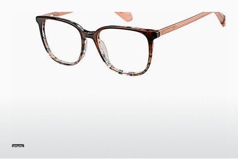 brille Superdry SDO 3023 102