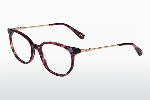 brille Ted Baker 399295 905