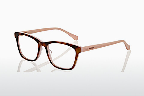 brille Ted Baker B954 222