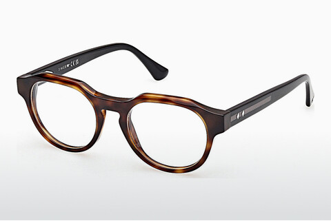 brille Web Eyewear WE5421 055