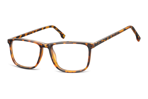 brille Fraymz CP132 B