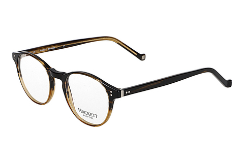 brille Hackett HEB218 101