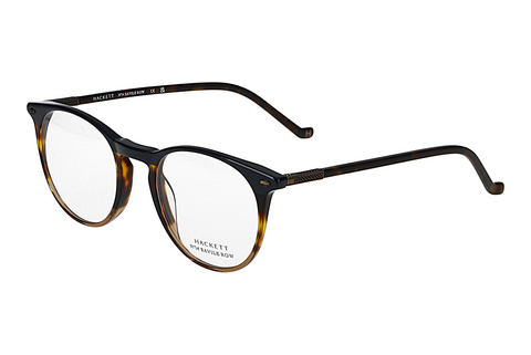 brille Hackett HEB337 529