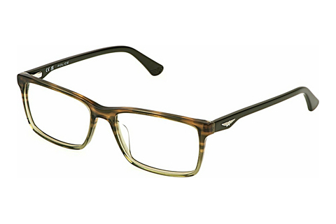 brille Police VPLN82 0GG6