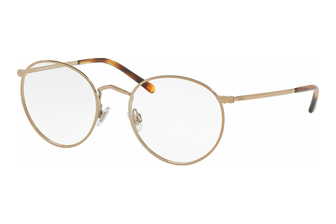 brille Polo PH1179 9334