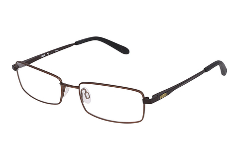 brille Puma PU15389 LB