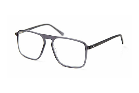 brille Sur Classics Pepin (12518 grey)