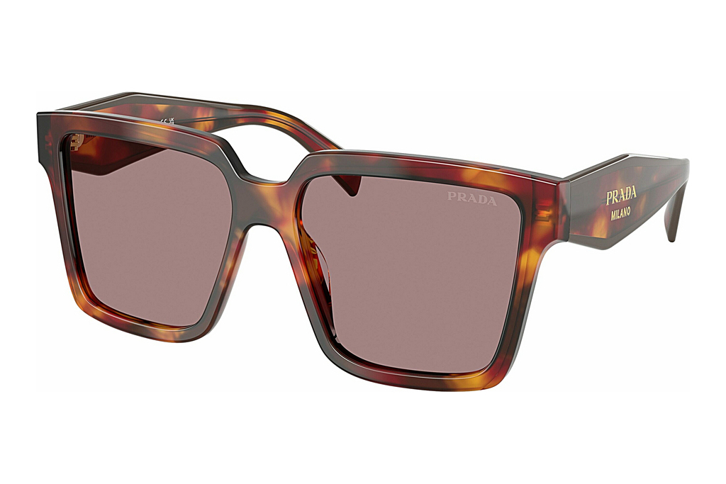 Prada   PR 24ZS 22A20I Light Purple BrownPoppy Tortoise