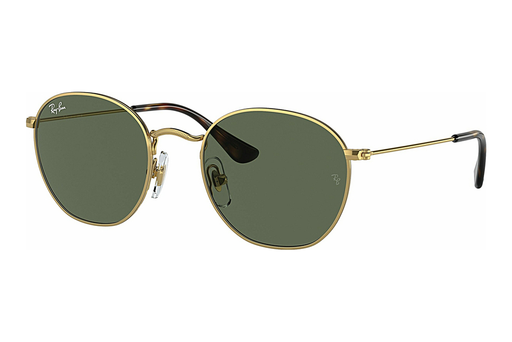 Ray-Ban Junior   RJ9572S 223/71 Dark GreenArista Gold