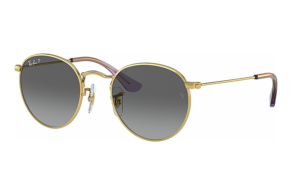 Ray-Ban Junior   RJ9547S 292/T3 GreyArista Gold