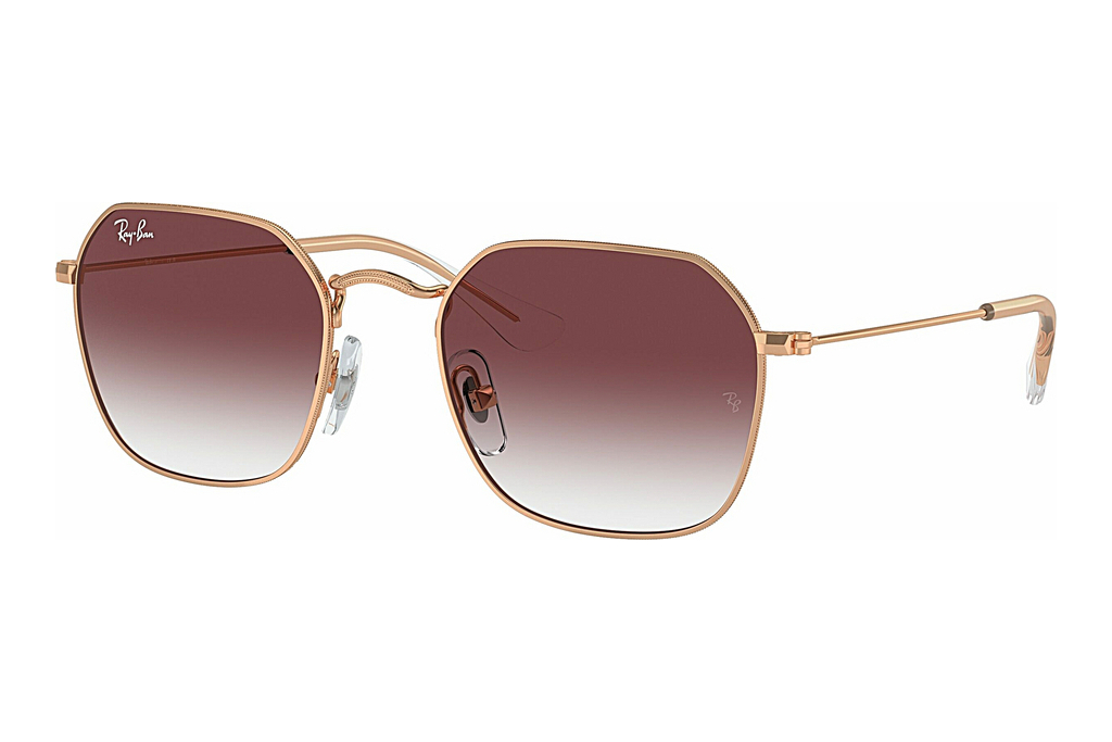 Ray-Ban Junior   RJ9594S 291/8H Clear & Dark VioletRose Gold