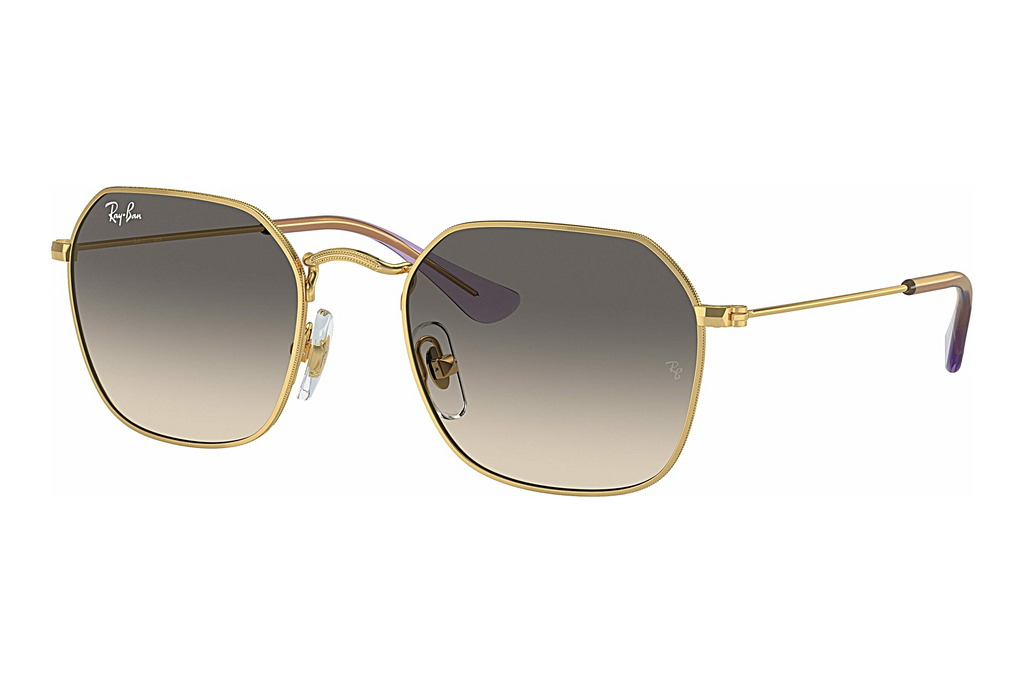 Ray-Ban Junior   RJ9594S 292/11 GreyArista Gold