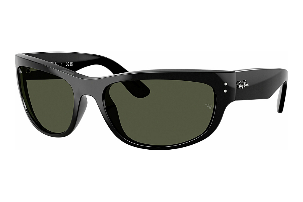 Ray-Ban   RB2289 901/31 G-15 GreenBlack