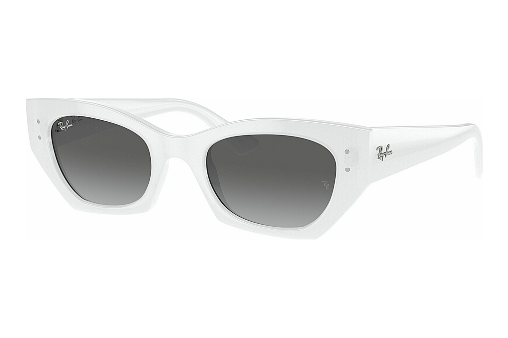 Ray-Ban   RB4430 675911 GreyWhite Snow