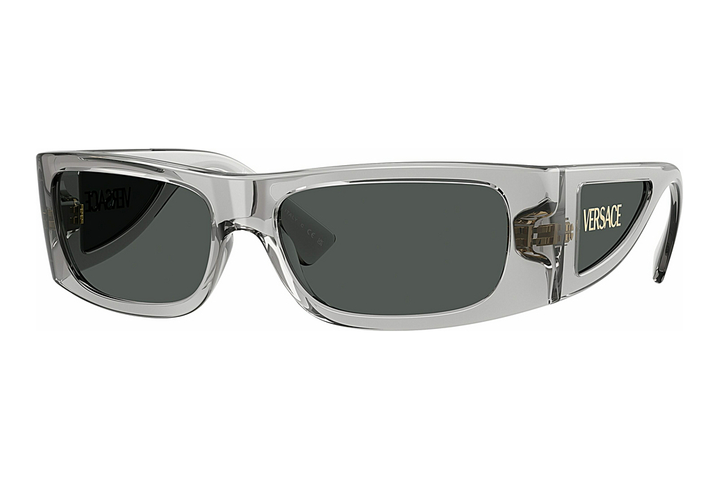 Versace   VE4482 530587 Dark GreyGrigio Transparent