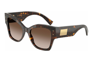 Dolce & Gabbana DG4478 502/13 Havana