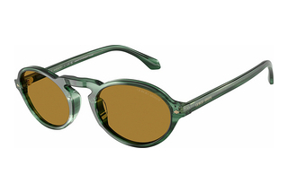 Giorgio Armani AR8219U 616453 BrownStriped Green