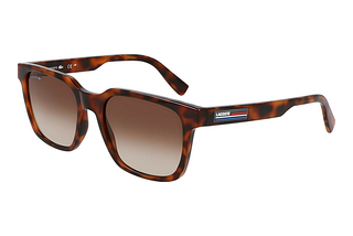 Lacoste L6028S 214 BROWN HAVANA