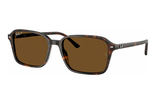 Ray-Ban RB2231 902/57 B-15 BrownHavana