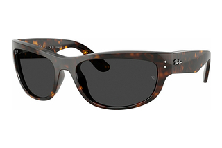 Ray-Ban RB2289 902/48 Polar BlackHavana