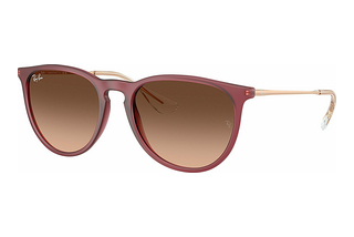 Ray-Ban RB4171 6815A5 Pink Gradient BrownRubber Violet