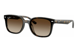 Ray-Ban RB4461D 710/13