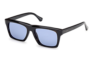 Web Eyewear WE0382 56V blauHavanna/Einfarbig