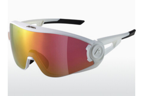 solbrille ALPINA SPORTS 5W1NG (A8654 510)