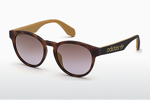 solbrille Adidas Originals OR0025 56G