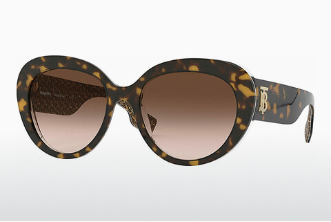 solbrille Burberry Rose (BE4298 382713)