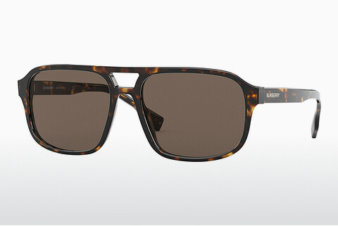 solbrille Burberry FRANCIS (BE4320 300273)