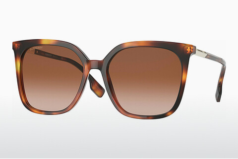 solbrille Burberry EMILY (BE4347 331613)