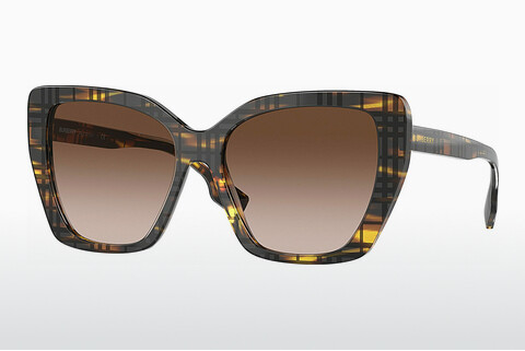 solbrille Burberry TAMSIN (BE4366 398113)