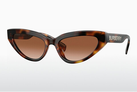 solbrille Burberry DEBBIE (BE4373U 331613)